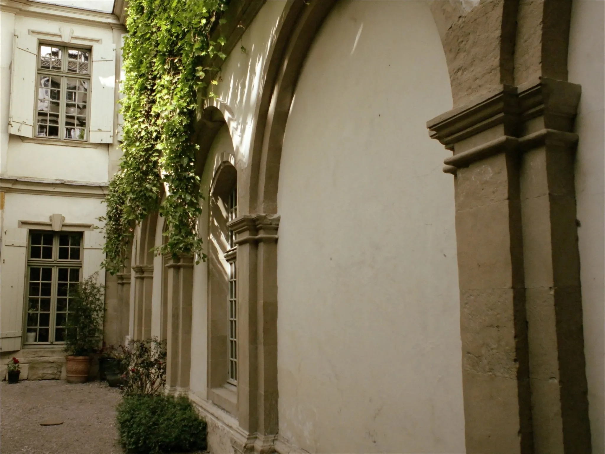 Cour intérieure pavée d'une maison ancienne, galerie de bois, plantes en pot et vigne grimpante