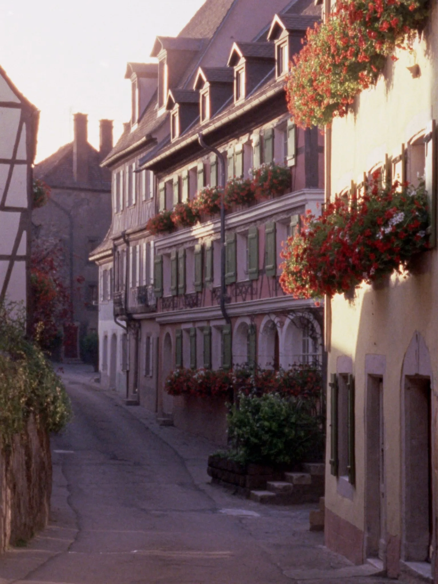 Ruelle pavée bordée de maisons anciennes aux fenêtres fleuries, volets peints et lumière du matin