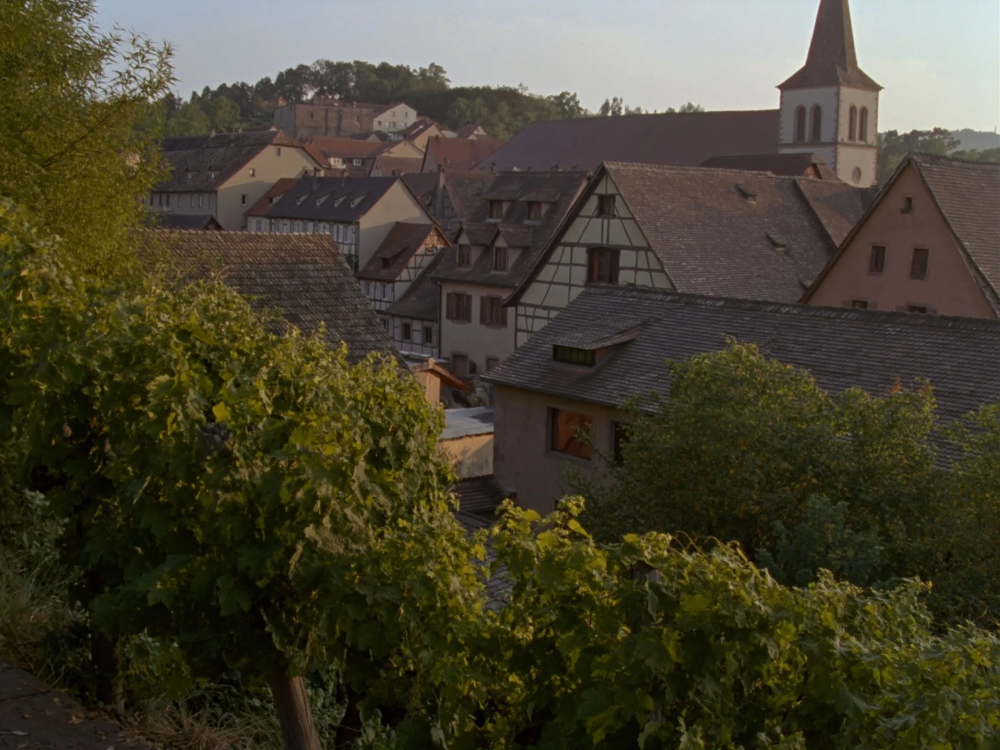Village de vignerons blotti entre les rangs de vigne, toits serrés et clocher discret